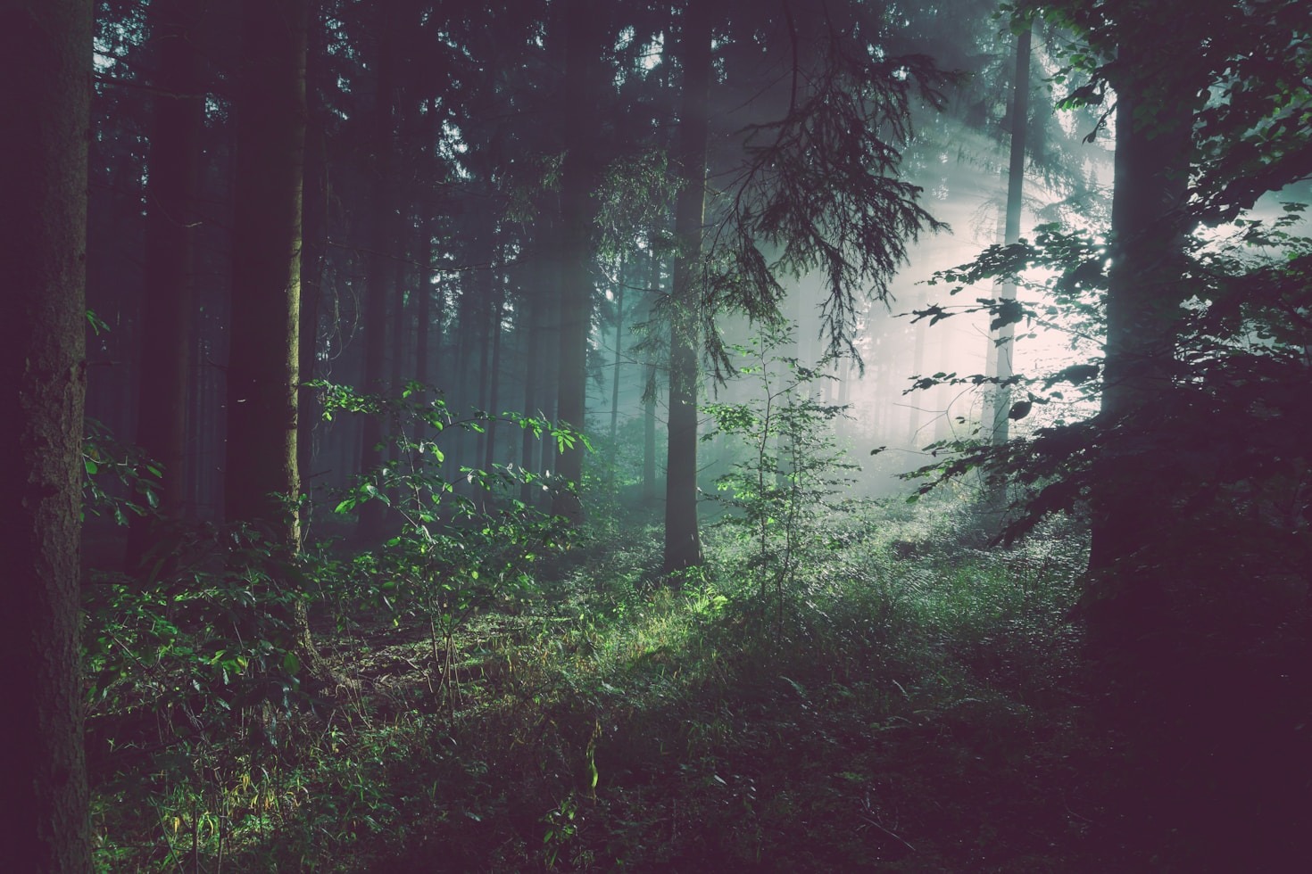 How Mayan Teachings Can Heal Our Planet